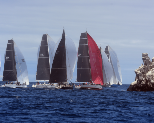 banner copa galapagos